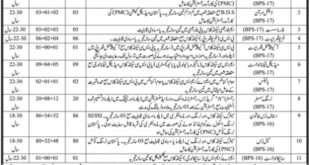 Sindh Employees Social Security Institution SESSI Jobs